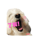 大好きあねちゃん（個別スタンプ：32）