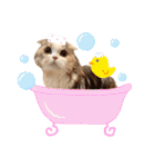 みるくの癒しスタンプ（個別スタンプ：1）
