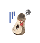 みるくの癒しスタンプ（個別スタンプ：5）