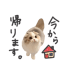 みるくの癒しスタンプ（個別スタンプ：26）
