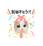 みるくの癒しスタンプ（個別スタンプ：39）
