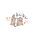 ボーダーコリーの文字入りゆるスタンプ②（個別スタンプ：5）