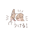 ボーダーコリーの文字入りゆるスタンプ②（個別スタンプ：9）