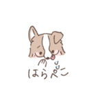 ボーダーコリーの文字入りゆるスタンプ②（個別スタンプ：10）