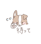 ボーダーコリーの文字入りゆるスタンプ②（個別スタンプ：15）