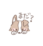 ボーダーコリーの文字入りゆるスタンプ②（個別スタンプ：17）