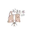 ボーダーコリーの文字入りゆるスタンプ②（個別スタンプ：18）