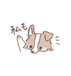 ボーダーコリーの文字入りゆるスタンプ②（個別スタンプ：22）