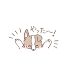 ボーダーコリーの文字入りゆるスタンプ②（個別スタンプ：23）