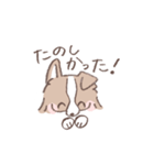 ボーダーコリーの文字入りゆるスタンプ②（個別スタンプ：28）