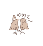 ボーダーコリーの文字入りゆるスタンプ②（個別スタンプ：31）