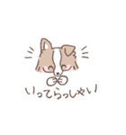 ボーダーコリーの文字入りゆるスタンプ②（個別スタンプ：36）