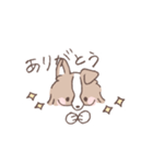 ボーダーコリーの文字入りゆるスタンプ②（個別スタンプ：37）