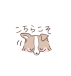 ボーダーコリーの文字入りゆるスタンプ②（個別スタンプ：38）