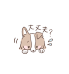ボーダーコリーの文字入りゆるスタンプ②（個別スタンプ：40）
