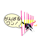 とにかくボーダーコリー くろまめノーマル（個別スタンプ：13）
