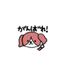 癒し犬だよ。！（個別スタンプ：8）