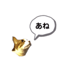 野良猫べーさん（個別スタンプ：11）