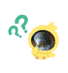 元気なペット（個別スタンプ：8）