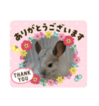 元気なペット（個別スタンプ：9）