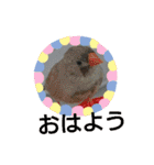 元気なペット（個別スタンプ：36）