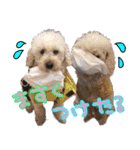 すていほーむな犬（個別スタンプ：3）