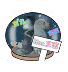 すていほーむな犬（個別スタンプ：6）