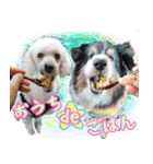 すていほーむな犬（個別スタンプ：7）
