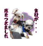 すていほーむな犬（個別スタンプ：14）