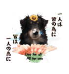 すていほーむな犬（個別スタンプ：16）