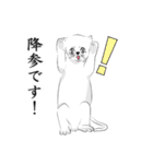 しろネコと愉快な仲間たち（個別スタンプ：10）