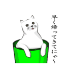 しろネコと愉快な仲間たち（個別スタンプ：15）