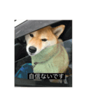 長尾産業2（個別スタンプ：1）
