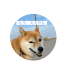 長尾産業2（個別スタンプ：5）