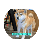 長尾産業2（個別スタンプ：6）