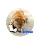 長尾産業2（個別スタンプ：7）