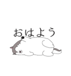 太っちょハスキー②（個別スタンプ：1）