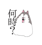 太っちょハスキー②（個別スタンプ：4）