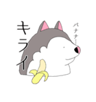 太っちょハスキー②（個別スタンプ：12）