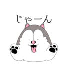 太っちょハスキー②（個別スタンプ：15）