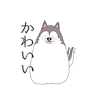 太っちょハスキー②（個別スタンプ：17）