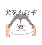 太っちょハスキー②（個別スタンプ：21）