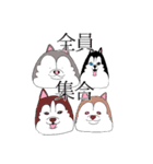 太っちょハスキー②（個別スタンプ：30）