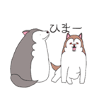 太っちょハスキー②（個別スタンプ：34）