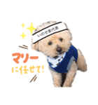 もふもふマリースタンプ（個別スタンプ：4）