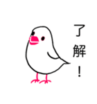 文鳥のマリ 日日是好日①（個別スタンプ：11）