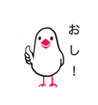 文鳥のマリ 日日是好日①（個別スタンプ：13）