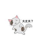 猫又日和（個別スタンプ：4）