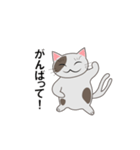 猫又日和（個別スタンプ：16）