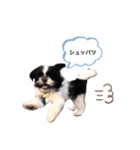 はるじくんスタンプ1（個別スタンプ：5）